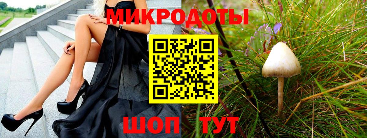 Галлюциногенные грибы Psilocybine cubensis Павловский Посад